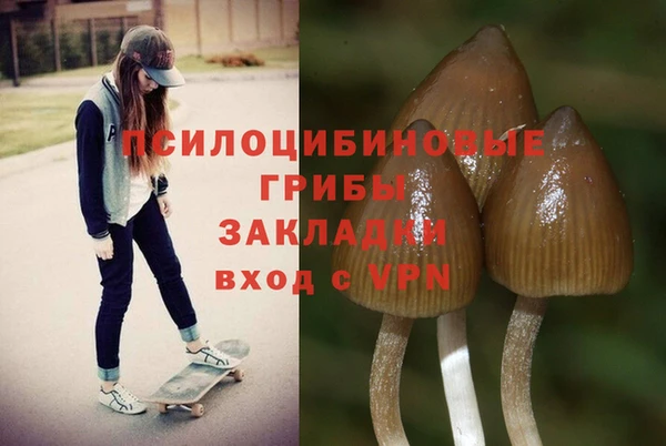 соль ск Богородицк