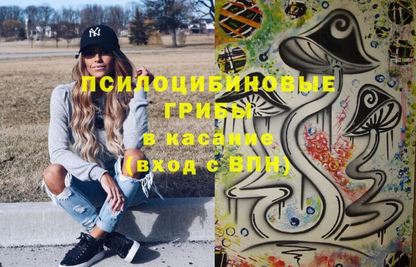 соль ск Богородицк